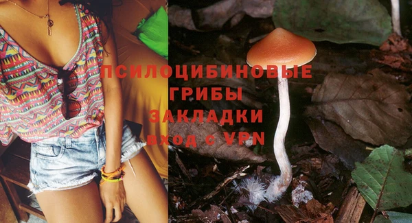 MESCALINE Алзамай