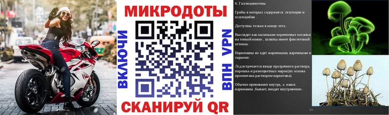 Псилоцибиновые грибы Magic Shrooms Мураши